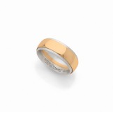 SATURN BAND Silver (925/1000) & Yellow gold 18K (750/1000) - DFLY Paris
