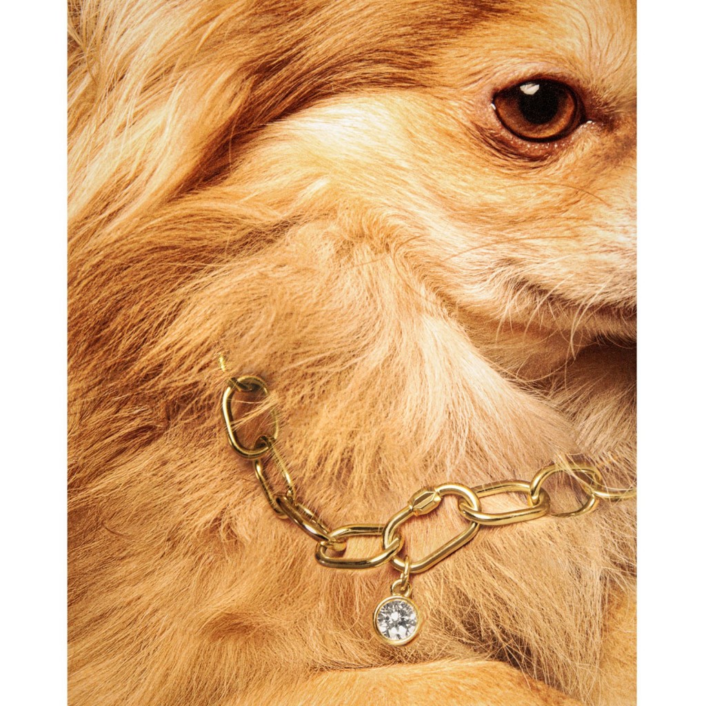 PAOZ necklace 18k (750/1000) Yellow Gold. - DFLY Paris